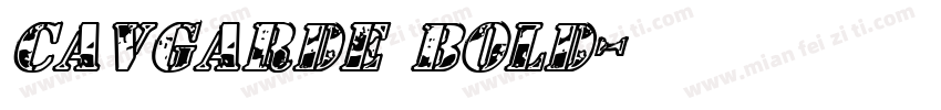 CAVGarde Bold字体转换